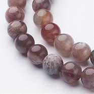 Natural Black Sunstone Bead Strands, Round, 7.9~8.5mm, Hole: 1mm, about 46~48pcs/strand, 14.9 inch(380mm)(G-G947-29-8mm)