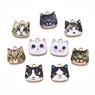 Printed Alloy Pendants, Cadmium Free & Nickel Free & Lead Free, Light Gold, Cat Head, Mixed Color, 17x17.5x1.5mm, Hole: 2mm(PALLOY-N168-002)