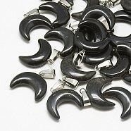 Natural Black Agate Pendants, with Stainless Steel Snap On Bails, Moon, Dyed, Stainless Steel Color, 18~19x20x6mm, Hole: 6x2.5mm(G-S294-09A-01)