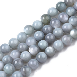 Natural Freshwater Shell Beads Strands, Dyed, Round, Gainsboro, 2.5~3.5mm, Hole: 0.5~0.6mm, about 122~136pcs/strand, 14.57 inch~15.63 inch(37cm~39.7cm)(X-BSHE-T009A-01K)
