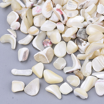 Sea Shell Beads, Undrilled/No Hole Beads, Chip, Seashell Color, 2~13x2~7x1~7mm