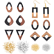 Olycraft DIY Dangle Earring Making Kits, Including 12Pcs 6 Styles Resin & Walnut Wood Pendants, 60Pcs 2 Colors Brass Earring Hooks, 60Pcs 2 Colors Brass Jump Rings, Golden & Silver, Pendants: 2pcs/style(DIY-OC0005-77)