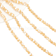 Natural Trochid Shell/Trochus Shell Beads Strands, Round, BurlyWood, 5mm, Hole: 1mm, about 84~85pcs/strand, 15.55 inch(39.5cm), 2strands/box(SSHEL-NB0001-34)