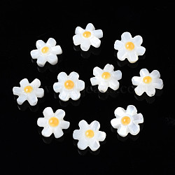 Natural White Shell Beads, Flower, 10x9x4mm, Hole: 0.8mm(SHEL-S278-033)