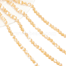 Natural Trochid Shell/Trochus Shell Beads Strands, Round, BurlyWood, 5mm, Hole: 1mm, about 84~85pcs/strand, 15.55 inch(39.5cm), 2strands/box(SSHEL-NB0001-34)