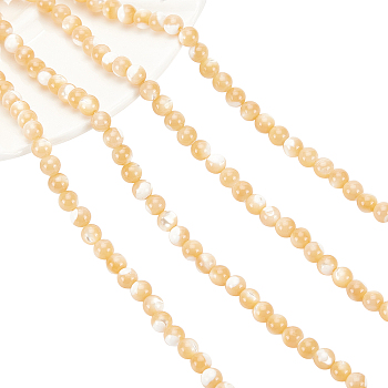 Natural Trochid Shell/Trochus Shell Beads Strands, Round, BurlyWood, 5mm, Hole: 1mm, about 84~85pcs/strand, 15.55 inch(39.5cm), 2strands/box