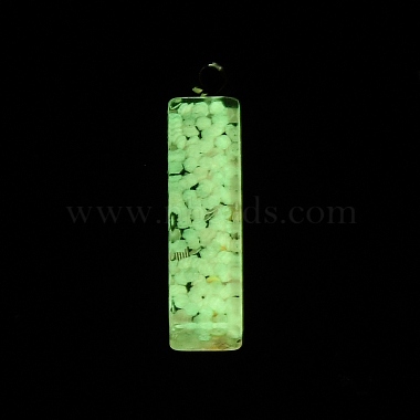 Luminous Resin Pendants(RESI-I059-I01)-3