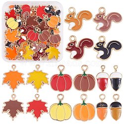 64Pcs 16 Styles Autumn Theme Alloy Enamel Pendants, Golden, Maple Leaf Charms & Pumpkin & Pne Cone & Squirrel, Mixed Color, 15.5~23.5x7~19x1~3mm, Hole: 1~2mm, 4pcs/style(ENAM-SZ0003-35)