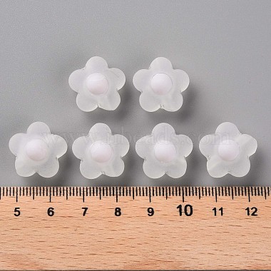 Transparent Acrylic Beads(TACR-S152-09C-06)-4