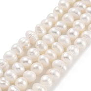 Natural Cultured Freshwater Pearl Beads Strands, Potato, Floral White, 3.5~4mm, Hole: 0.5mm, about 45~59pcs/strand, 6.89~7.68 inch(17.5~19.5cm)(PEAR-C003-05B)