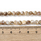 Natural Freshwater Shell Beads Strands(SHEL-K006-71B)-4