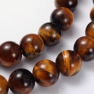 Gemstone Beads Strands, Grade AB+ Tiger Eye, Round, about 8mm in diameter, hole: about 1mm, 15~16 inch(X-GSR014)