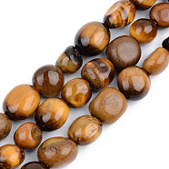 Natural Tiger Eye Beads Strands, Tumbled Stone, Nuggets, 5~13x5~10x3~8mm, Hole: 1mm, about 40~60pcs/strand, 14.57 inch~15.74 inch(37~40cm)(G-S359-165)