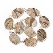 Natural Picture Jasper Pendants, with Golden Tone Brass Open Back Bezel, Oval, 25x15.5x2~3mm, Hole: 2mm(G-S359-019D)