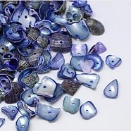 Dyed Natural Spiral Shell Chips Beads, Shell Shards, Royal Blue, 10~20x6~15mm, Hole: 1mm, about 70pcs/50g(X-SHEL-A003-B01)