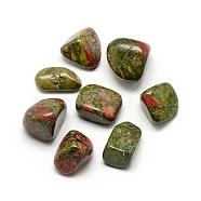 Natural Unakite Gemstone Beads, Tumbled Stone, Healing Stones for 7 Chakras Balancing, Crystal Therapy, Meditation, Reiki, Nuggets, No Hole/Undrilled, 20~33x15~25x10~22mm(G-S218-08)