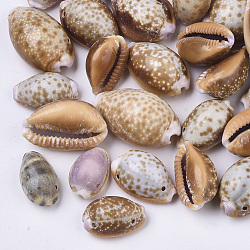 Natural Cowrie Shell Links connectors, Camel, 16~28x11~17x8~14mm, Hole: 1~1.5mm(X-SSHEL-N034-22)