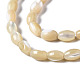 Natural Trochid Shell/Trochus Shell Beads Strands(SSHEL-S266-021B-01)-3