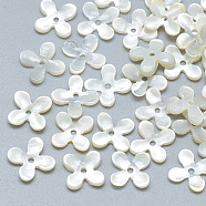 Natural White Shell Beads, Mother of Pearl Shell Beads, Flower, 6x6x1mm, Hole: 0.8mm(SSHEL-S260-056A-01)