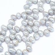 Natural Cultured Freshwater Pearl Beads Strands, Potato, Alice Blue, 7~11x7~8mm, Hole: 0.8mm, about 59pcs/strand, 14.7 inch(36cm)(PEAR-G004-03C-01)
