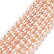 Natural Cultured Freshwater Pearl Beads Strands, Rice, Grade 4A, PeachPuff, 6~7x4~5mm, Hole: 0.6mm, about 58pcs/strand, 14.69~14.84 inch(37.3~37.7cm)(PEAR-E016-130)