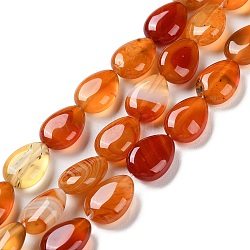 Natural Red Agate Beads Strands, Dyed, Flat Teardrop, 13~14x9.5~10x5~5.5mm, Hole: 1.2mm, about 28pcs/strand, 15.16''(38.5cm)(G-K357-A09-01)