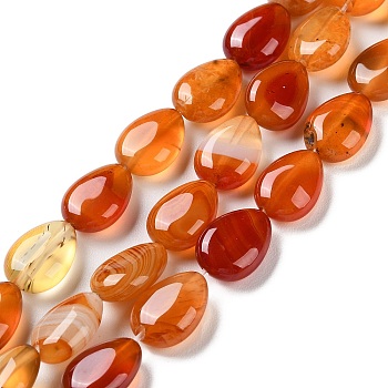 Natural Red Agate Beads Strands, Dyed, Flat Teardrop, 13~14x9.5~10x5~5.5mm, Hole: 1.2mm, about 28pcs/strand, 15.16''(38.5cm)