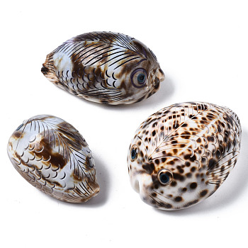 Printed Natural Cowrie Shell Beads, No Hole, Fish, Tan, 57~72x37~52x31~38mm