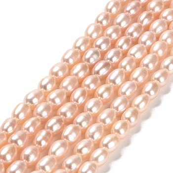 Natural Cultured Freshwater Pearl Beads Strands, Rice, Grade 4A, PeachPuff, 6~7x4~5mm, Hole: 0.6mm, about 58pcs/strand, 14.69~14.84 inch(37.3~37.7cm)
