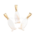 Natural Sea Shell Pendants, Fish Charms with Stainless Steel Snap on Bails, Seashell Color , Golden, 21x8x3mm, Hole: 7x3.5mm(PALLOY-JF05362)