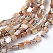 Erose Shell Beads Strands, Dyed, White, about 8~17.5mm long, 5~8mm wide, hole: about 1mm, about 40pcs/strand, 16 inch(PBB071Y)