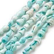 Spiral Shell Beads Strands, Dyed, Aquamarine, 6mm, Hole: 0.5~1mm, about 150~170pcs/strand, 56 inch(142.2cm)(BSHE-L037-09)