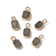 Natural Labradorite Rectangle Charms, with Golden Tone Brass Edge, 9.5x5x2.5mm, Hole: 2mm(G-Q169-07G-11)