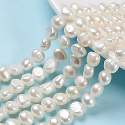 Natural Cultured Freshwater Pearl Beads Strands, Two Sides Polished, Oval, Seashell Color, 7~8x8~9x6mm, Hole: 0.5mm, about 22pcs/strand, 6.93 inch(X-PEAR-S012-30)