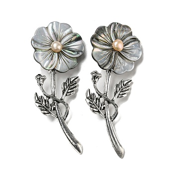 Black Lip Shell Flower Alloy Brooch, with Freshwater Pearls, Antique Silver, Gray, 74.5x29x8mm