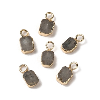 Natural Labradorite Rectangle Charms, with Golden Tone Brass Edge, 9.5x5x2.5mm, Hole: 2mm