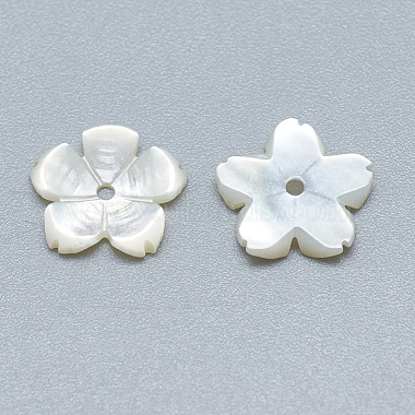 Natural White Shell Beads(SSHEL-S260-009)-2