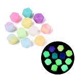 Luminous Silicone Beads, Hexagon, Glow in the Dark, Faceted, Mixed Color, 14x19x19mm, Hole: 2.3mm(SIL-N006-15)
