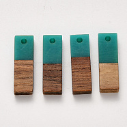 Resin & Walnut Wood Pendants, Rectangle, Teal, 20x6.5x3mm, Hole: 1.8mm(RESI-S358-B-79Q)