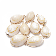 Cowrie Shell Pendants, with Golden Tone Brass Findings, Cowrie Shell, Seashell Color, 23~30x13~19x10~13mm, Hole: 1.5mm(SSHEL-T004-02)