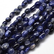 Natural Sodalite Nuggets Beads Strands, Tumbled Stone, 5~10x6~7x3~7mm, hole: 1mm, about 14.9 inch~15.7 inch(G-J335-33)