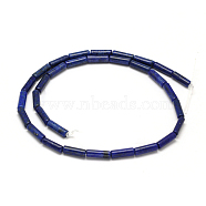 Natural Lapis Lazuli Column Bead Strands, Dyed, 13~14x4~5mm, Hole: 1mm, about 28pcs/strand, 15.7 inch(G-F247-13)