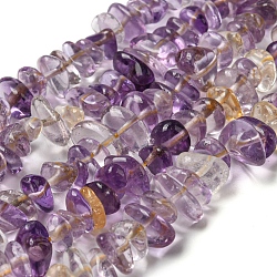 Natural Ametrine Chip Beads Strands, 9~15x9~15mm, Hole: 1mm, about 15.3 inch~15.9 inch(G-E271-71)