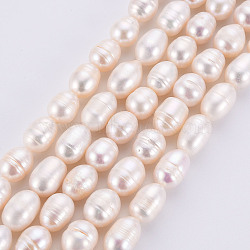 Grade AA Natural Cultured Freshwater Pearl Beads Strands, Rice, Seashell Color, 8~10x7~8mm, Hole: 0.6mm, about 41~42pcs/Strand, 14.17 inch(36cm)(PEAR-Q015-036B-01)