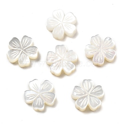 Natural White Shell Carved Beads, Flower, 11.5~12x12x2.5~3.5mm, Hole: 0.8~0.9mm(SSHEL-Z002-02A)