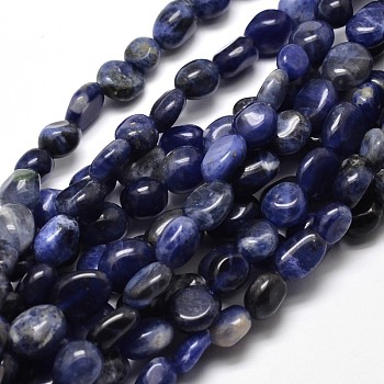 Natural Sodalite Nuggets Beads Strands, Tumbled Stone, 5~10x6~7x3~7mm, hole: 1mm, about 14.9 inch~15.7 inch