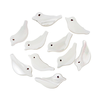 Natural Trochid Shell/Trochus Shell Beads, Bird, Seashell Color, 6x15x2mm, Hole: 0.7mm