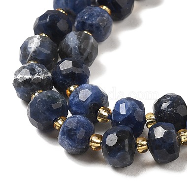 Natural Sodalite Beads Strands(G-P508-A10-01)-4