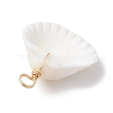 pendentifs en coquille d'arche naturelle(PALLOY-JF02679-01)-4