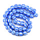 Handmade Lampwork Beads Strands(LAMP-N021-44B)-2